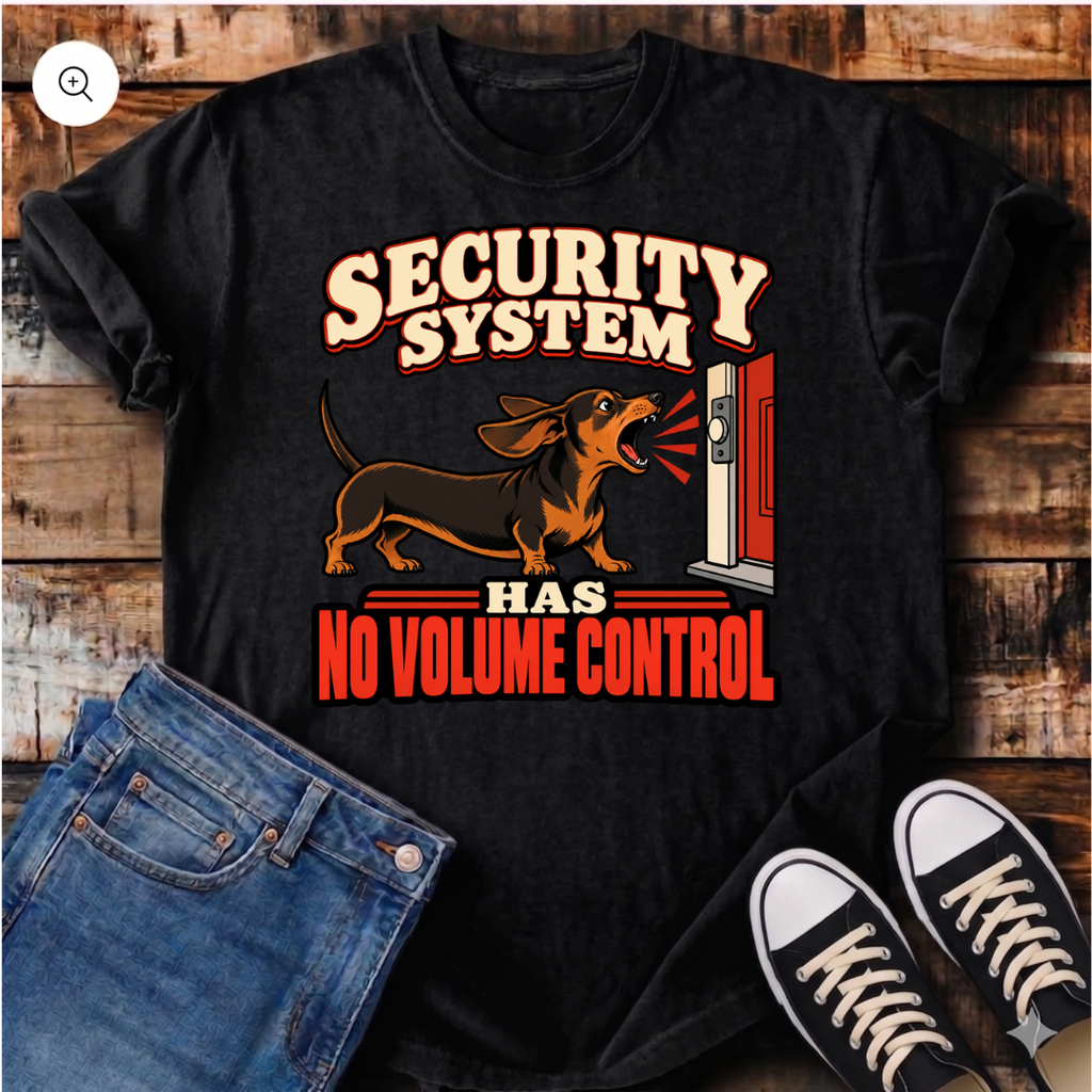 Security System Has No Volume Control T-Shirt
