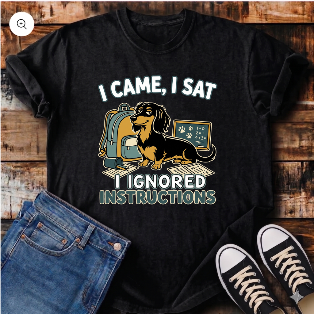 I Came, I Sat, I Ignored Instructions T-Shirt