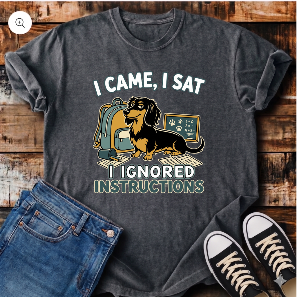 I Came, I Sat, I Ignored Instructions T-Shirt