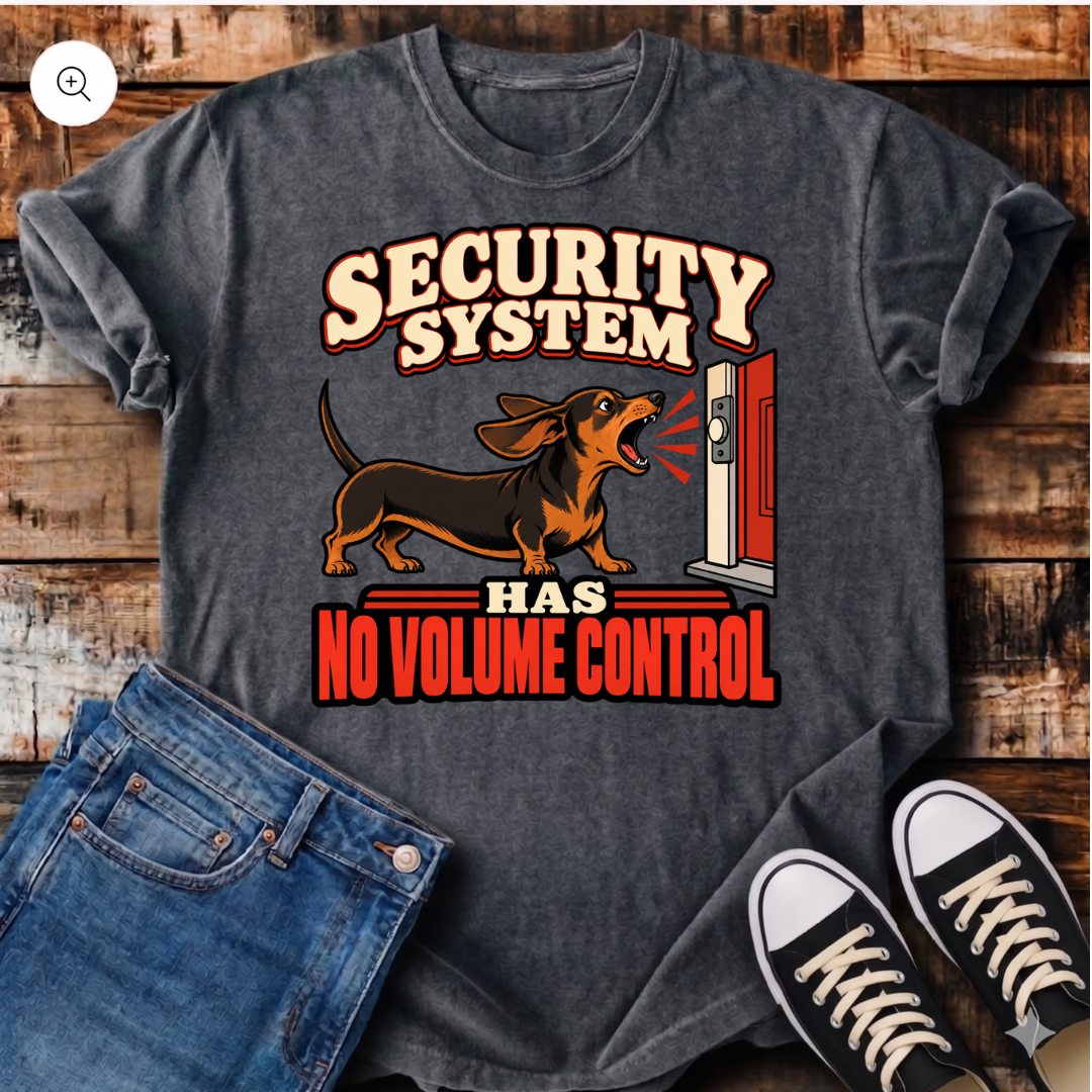 Security System Has No Volume Control T-Shirt