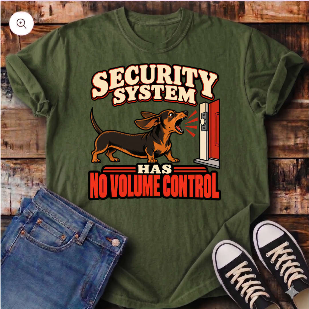 Security System Has No Volume Control T-Shirt