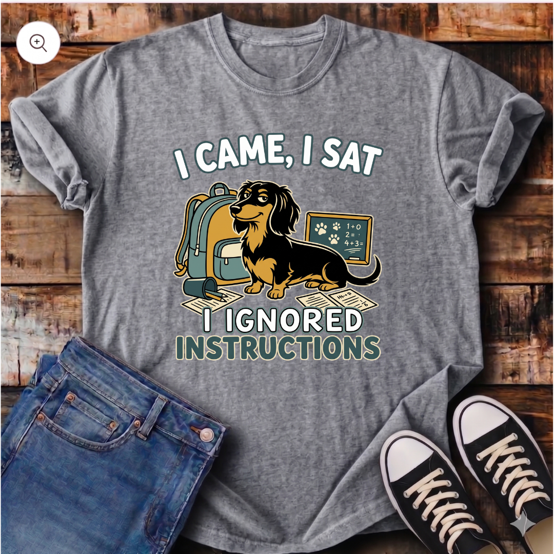 I Came, I Sat, I Ignored Instructions T-Shirt