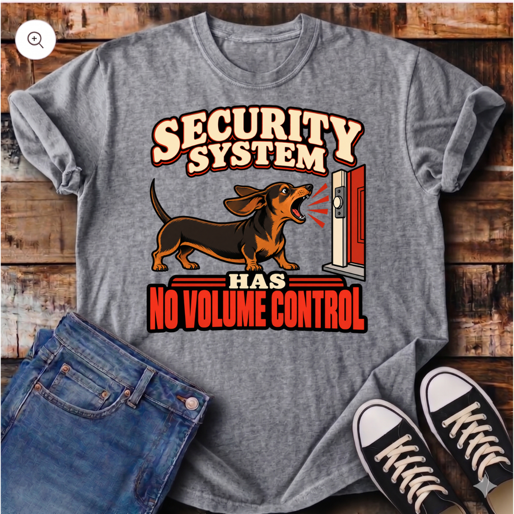 Security System Has No Volume Control T-Shirt