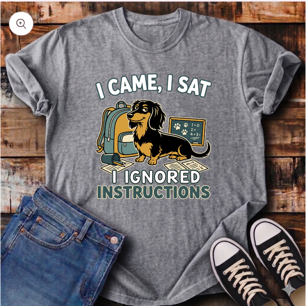 I Came, I Sat, I Ignored Instructions T-Shirt